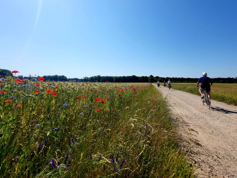 Fietsen over mooie zandpaden