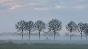 winters wandelen in Roerdalen